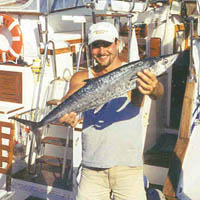 King Mackerel