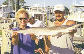 Shark