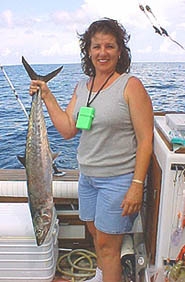 Holy Mackerel!