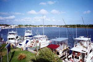 The Moorings